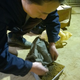 Nut Brother mixes the dust (in black) he collected with clay.